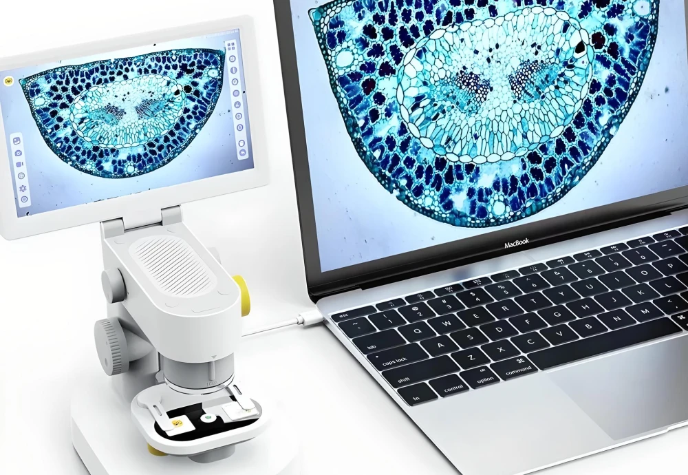 how does a digital microscope work