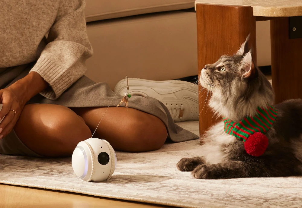 pet camera robot