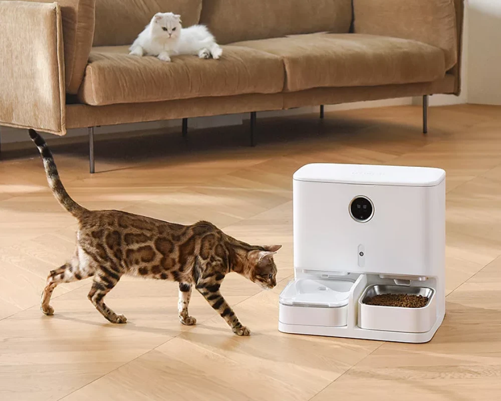 automatic pet food feeder