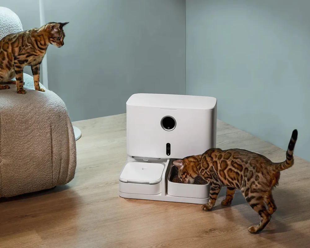 small automatic pet feeder